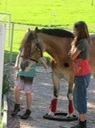 img_3582