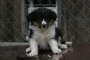 Unknown010810