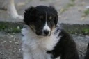 Unknown010812