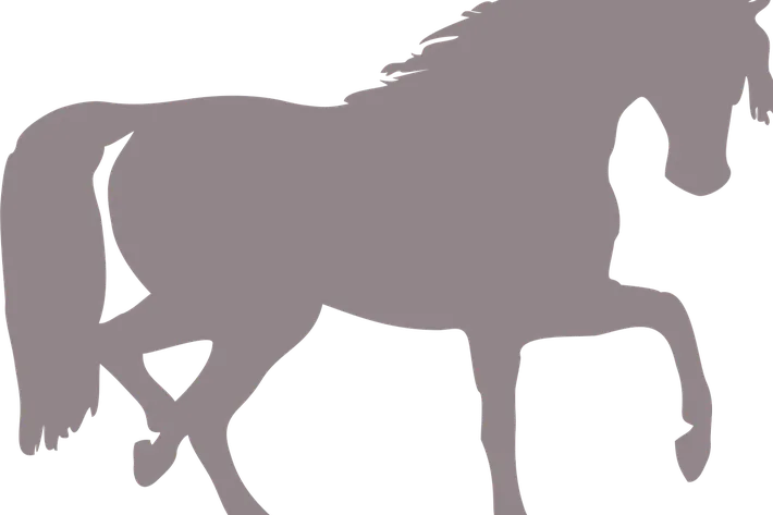 Unknown010818